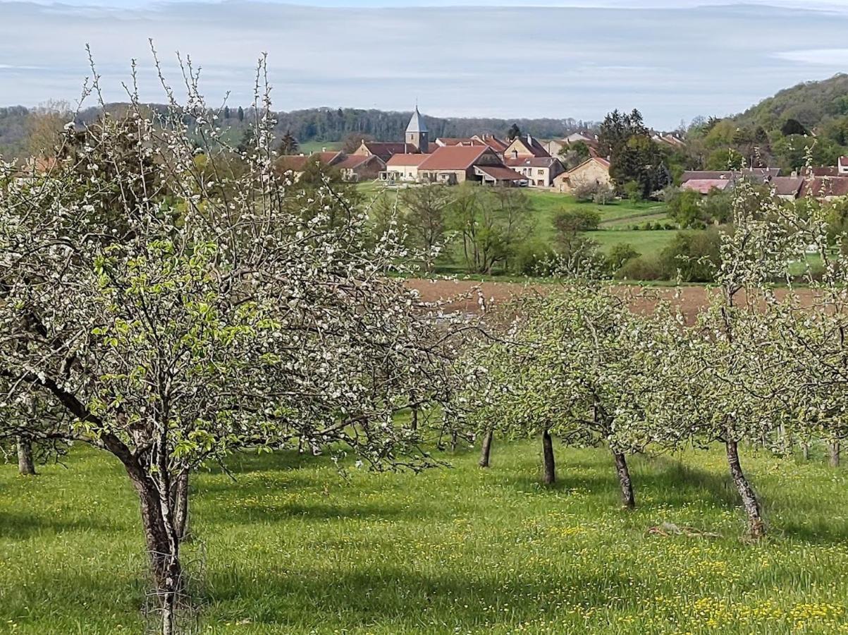 Chateau D'Impasse Laferte-sur-Amance Luaran gambar